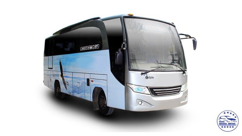 Medium 35 seat