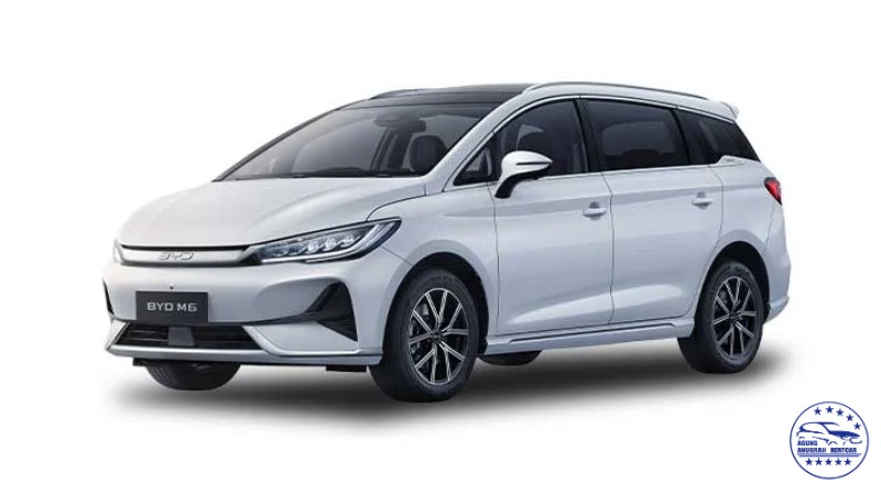 BYD M6