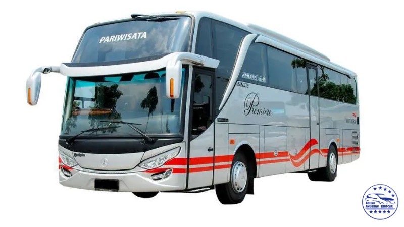 Big bus 59 seat